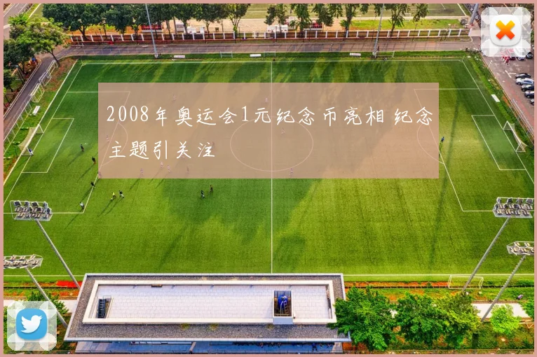 2008年奥运会1元纪念币亮相 纪念主题引关注