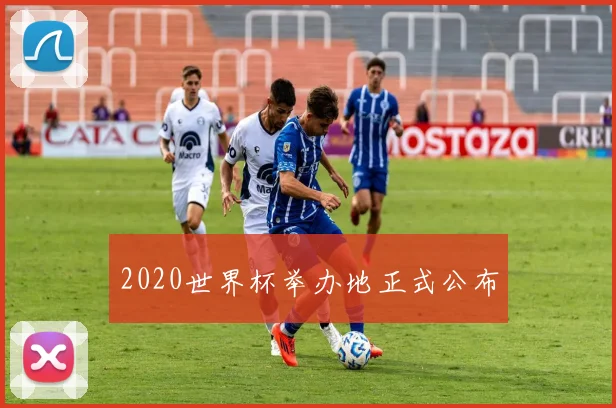2020世界杯举办地正式公布