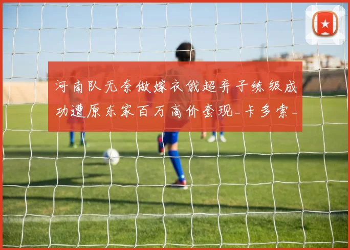 河南队无奈做嫁衣俄超弃子练级成功遭原东家百万高价套现_卡多索_沙特_俄罗斯