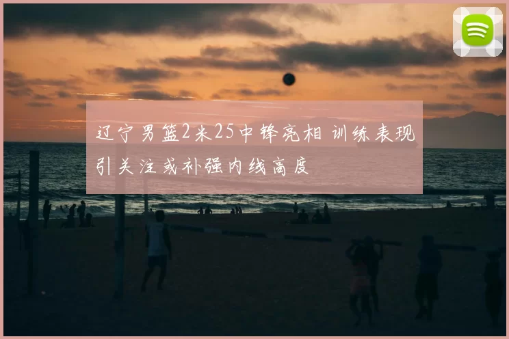 辽宁男篮2米25中锋亮相 训练表现引关注或补强内线高度